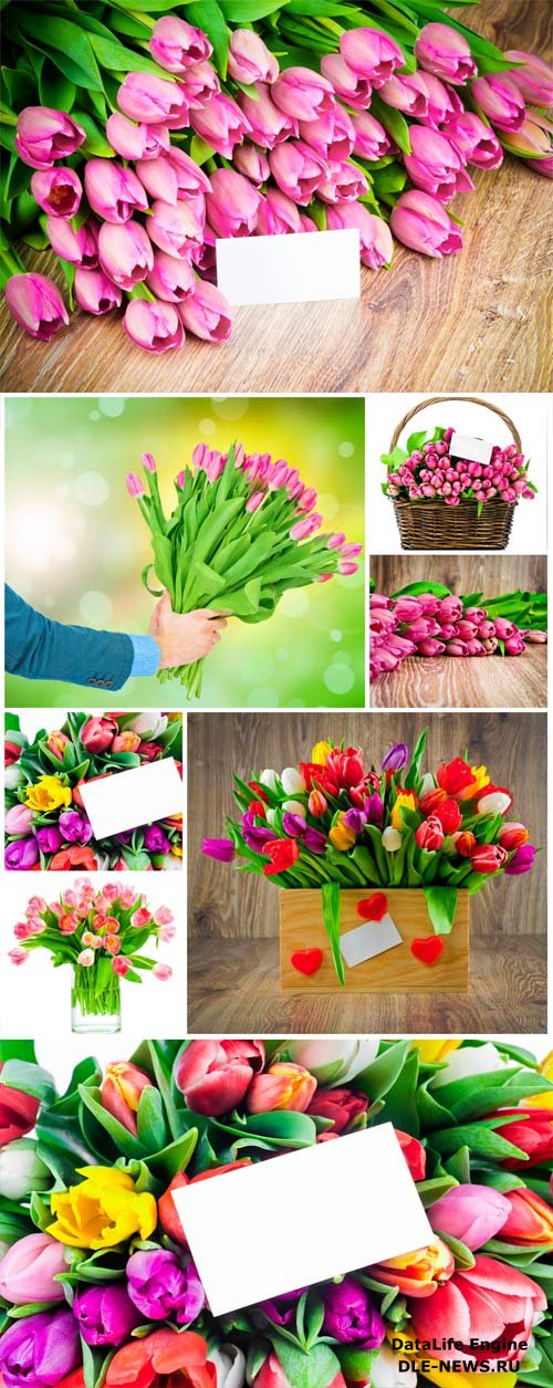 Bouquets of colorful tulips stock photo