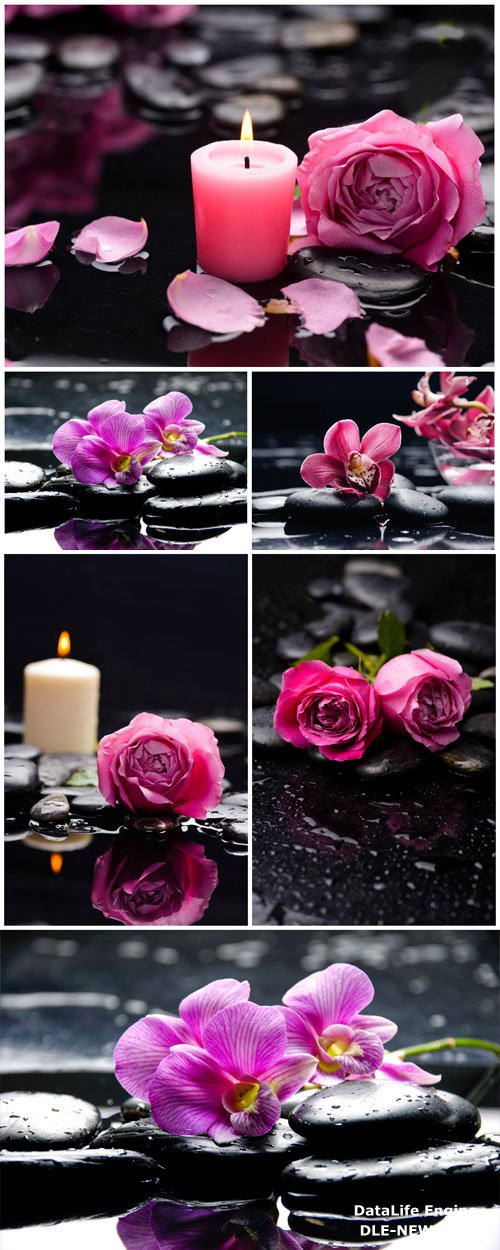 Candles, spa stones, orchids and roses stock photo