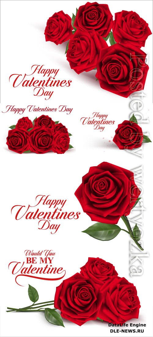 Valentine's day, red roses in vector