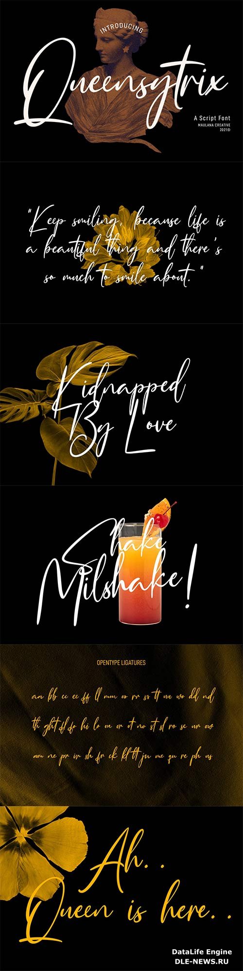 Queensytrix Signature Script Font