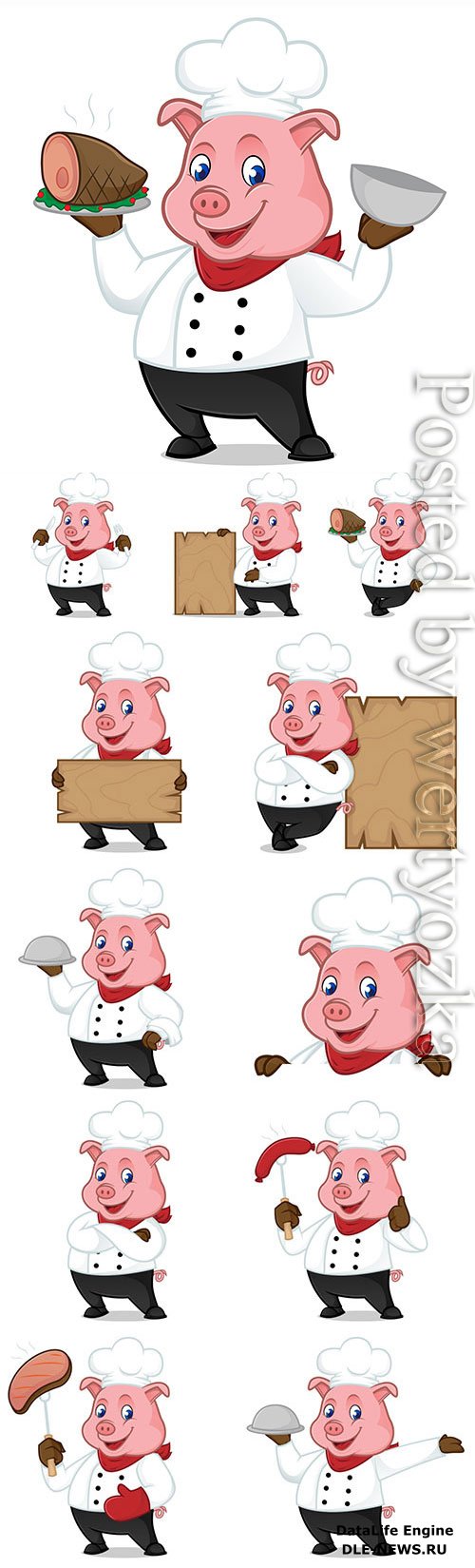 Cartoon pig in a chef costume in vector