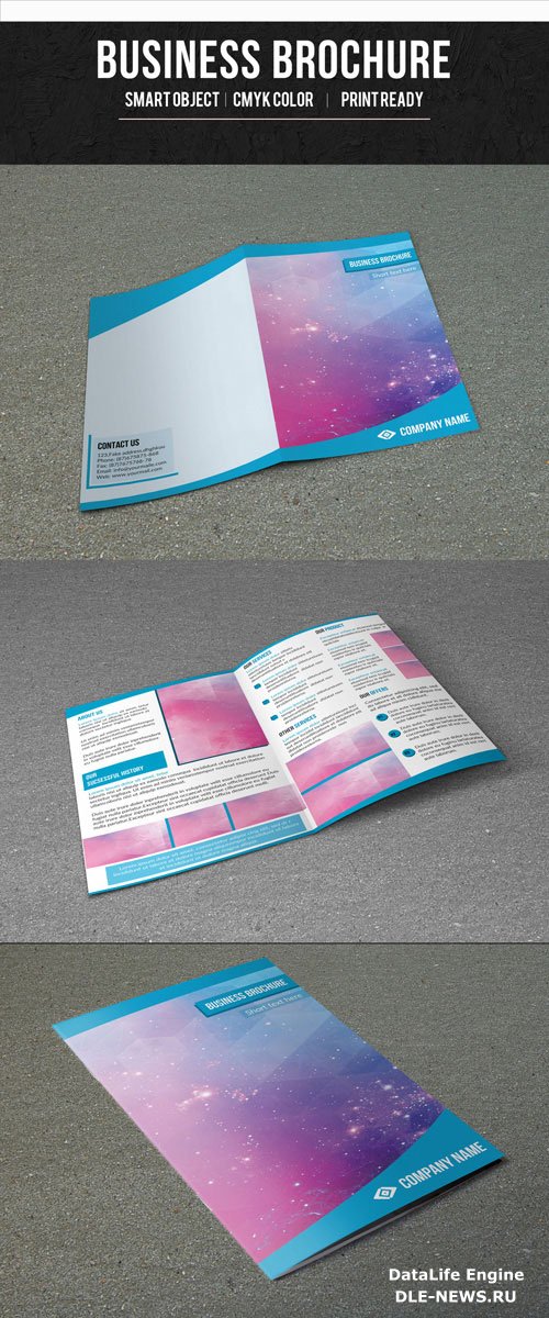 Single Fold Business Brochure with Blue Border Layout 1