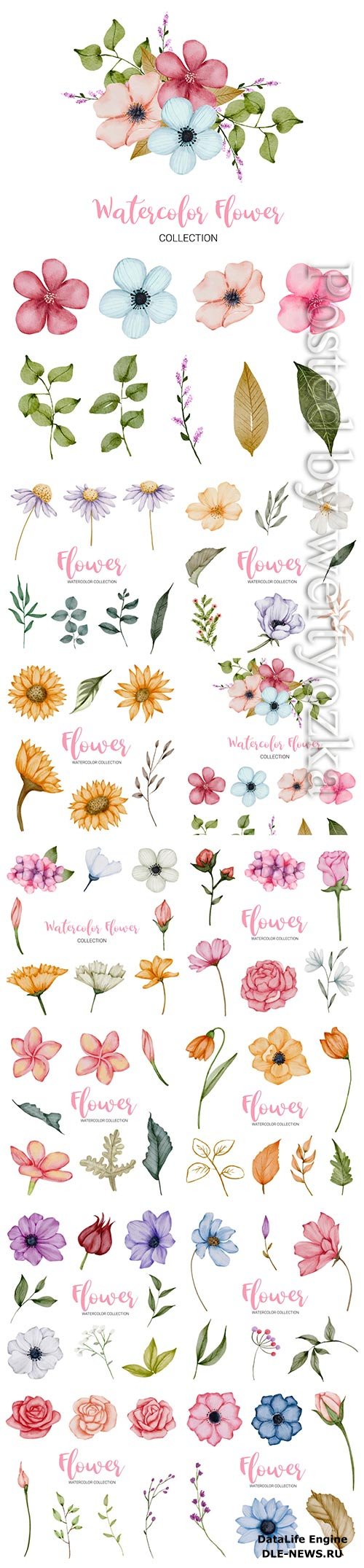 Set of beautiful vector flowers in watercolor style