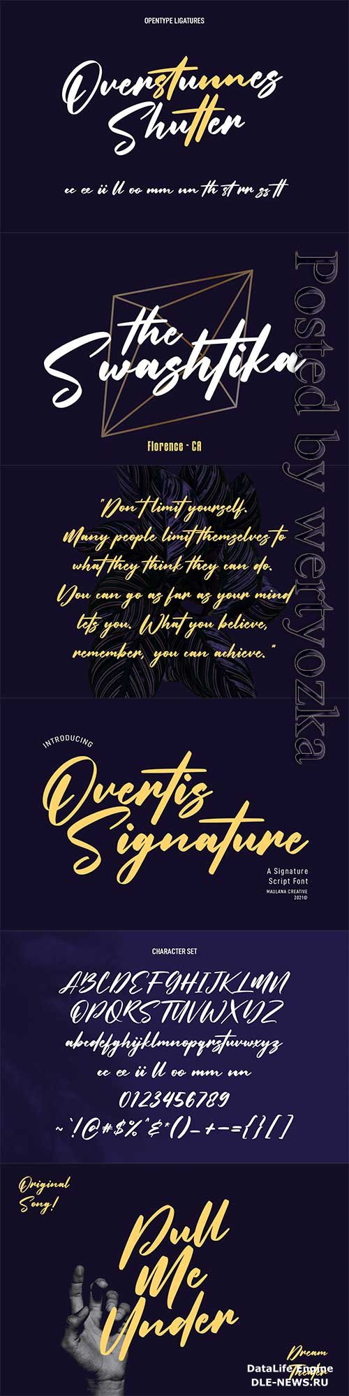 Overtis Signature Script Font 6361148