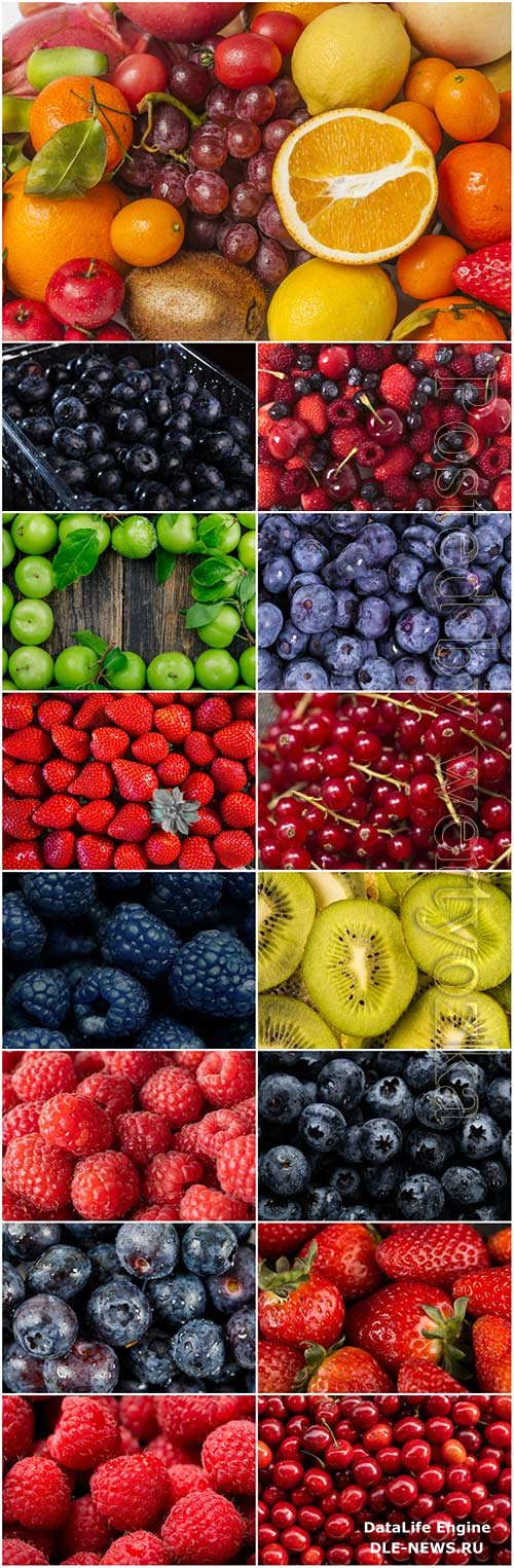 Fruits and berries stock photo set