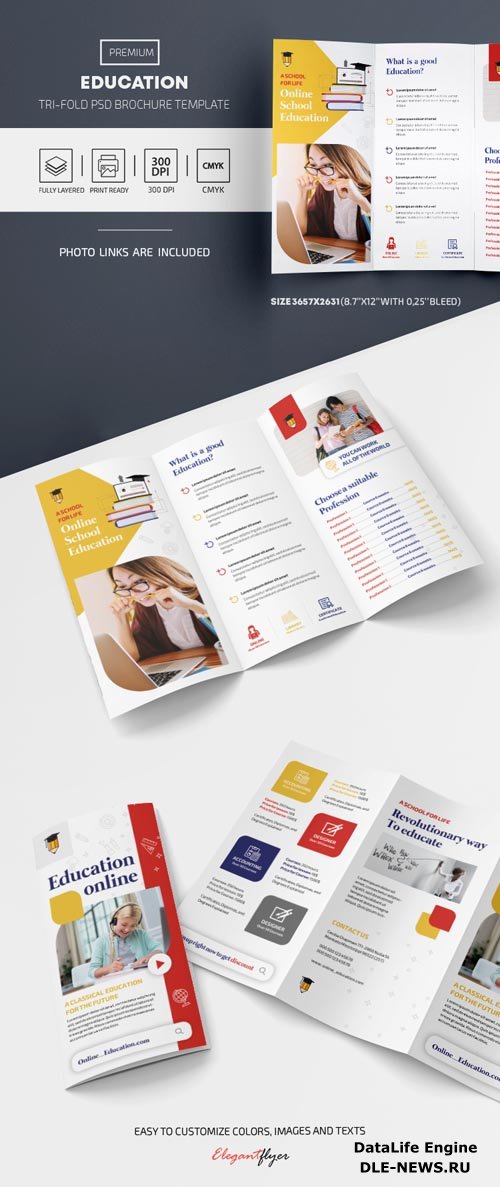 Education Tri Fold Brochure Template