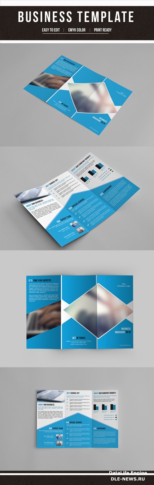 AdobeStock Business Brochure with Blue Accents 207342275