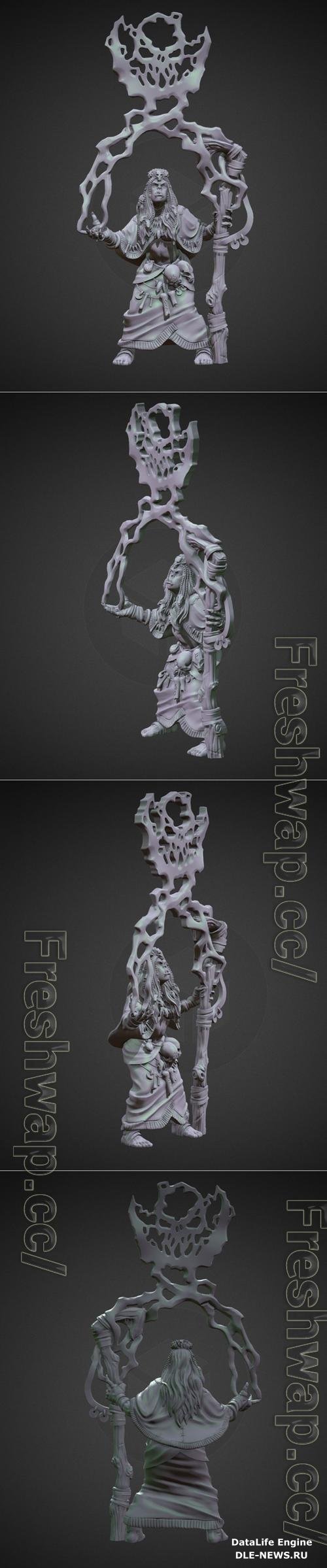 Thunder Shaman Orc Female 3D Print