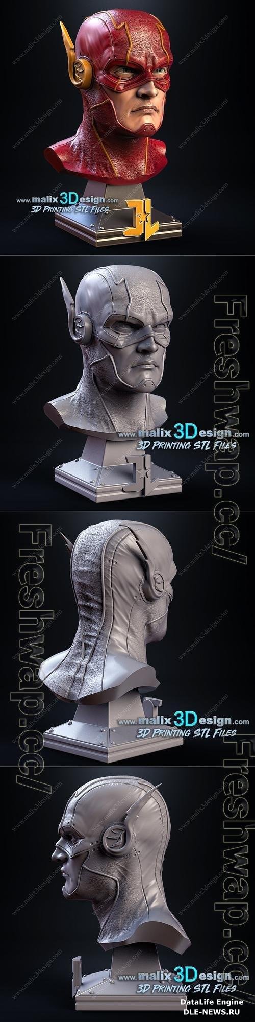 Flash Bust 3D Print