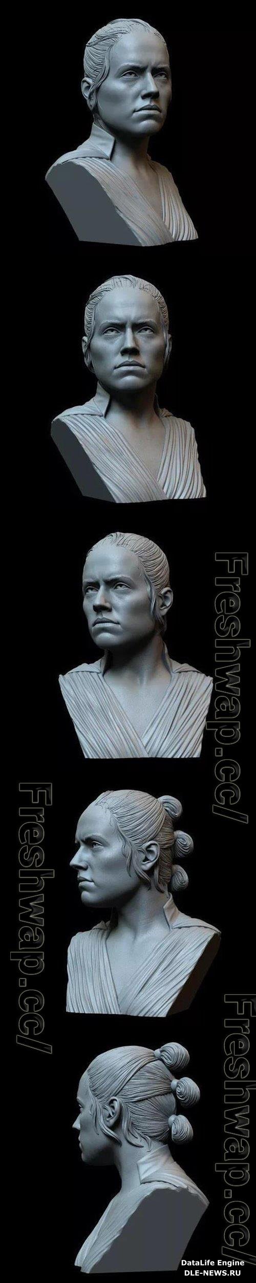 Rey 3D Print