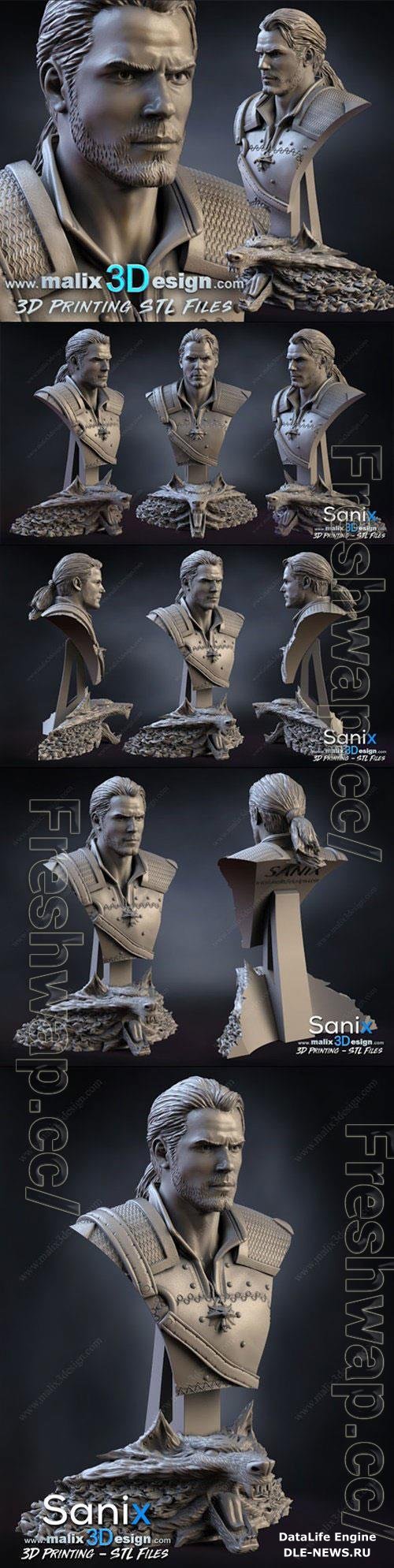 The Witcher Buste 3D Print