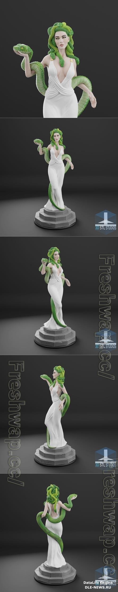 3D Stl studio - Medusa 3D Print