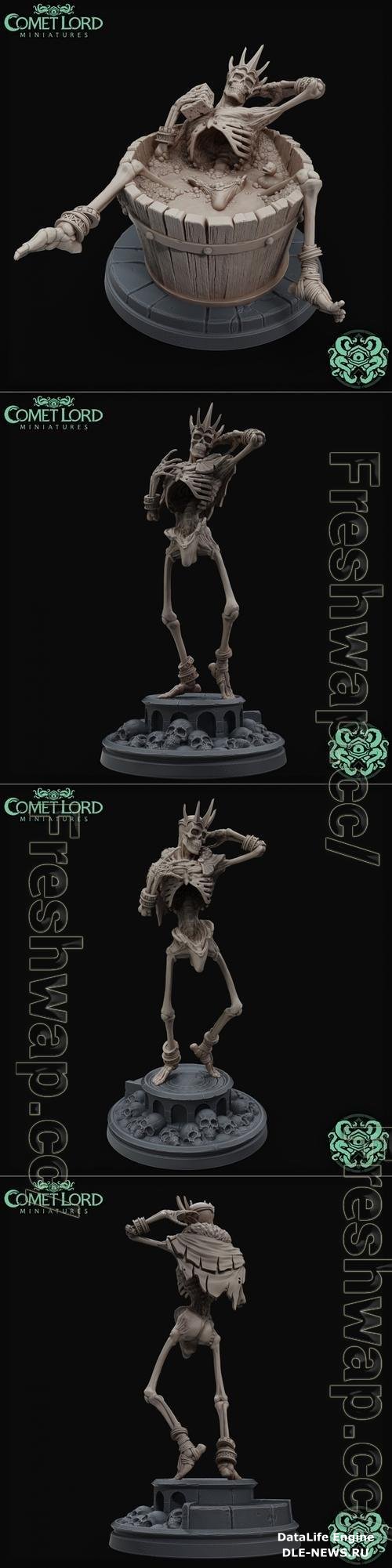 Comet Lord Miniatures - Stupid Sexy Lich 3D Print