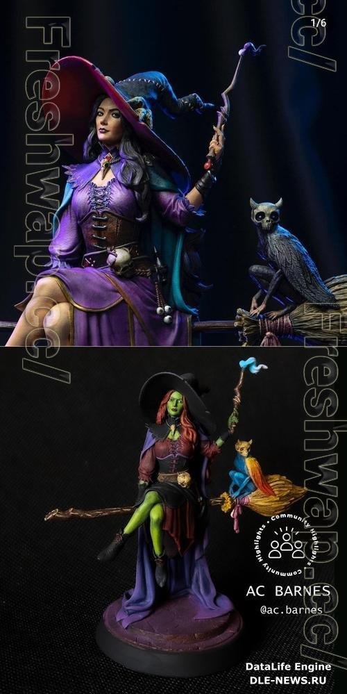 Morgan The Hex Witch and Schrodie 3D Print