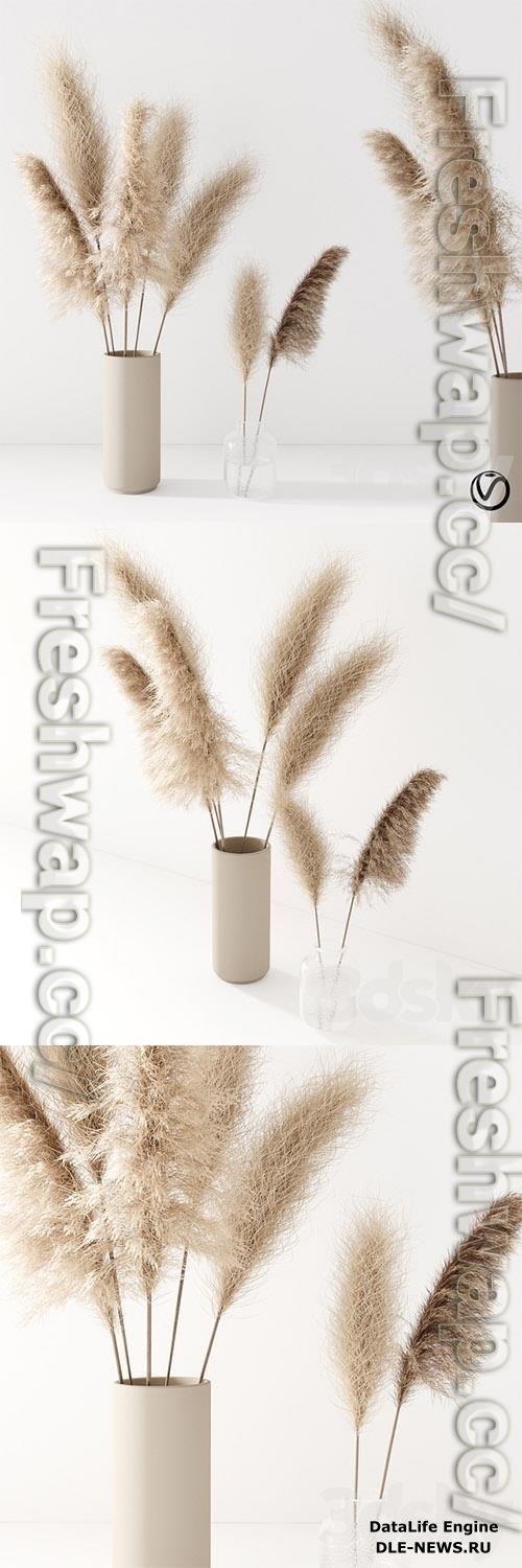 Set of Pampas grass in Vase 3D Models