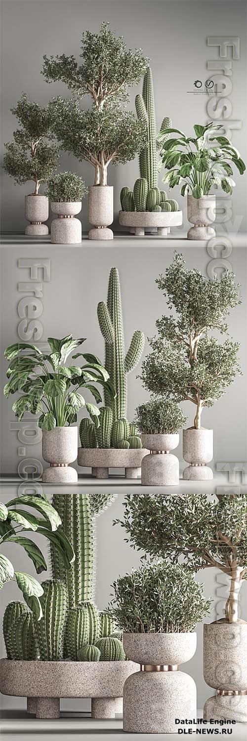 Indoor Plant Set 26 3D Models