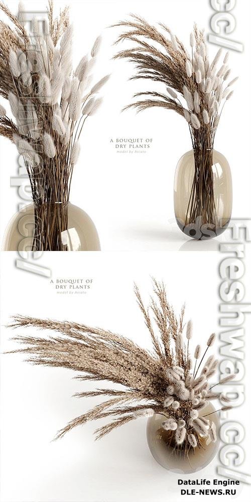 A bouquet of dry plants 3D Models